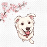 Yuki Control Center Logo
